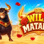 Banner of Wild Matador by PopOK Gaming