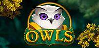 Owls slot artwork