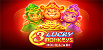 3 Lucky Monkeys Hold & Win slot artwork