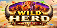 Logo for Wild Herd Stampede Stacks by Infinity Dragon Studios